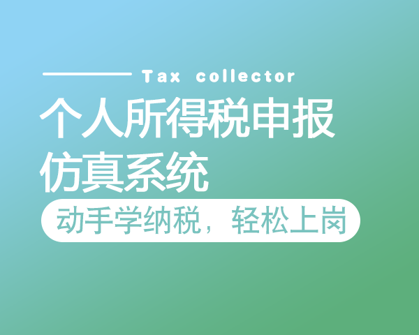 个人所得税申报—仿真系统