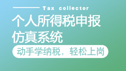 个人所得税申报—仿真系统