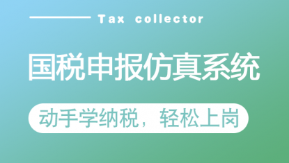 国税申报—仿真系统（6个月）