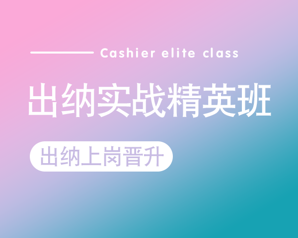 出纳实战精英班：系统+视频套餐
