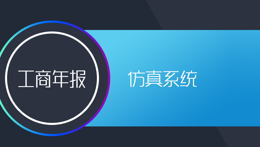 工商年报—仿真系统