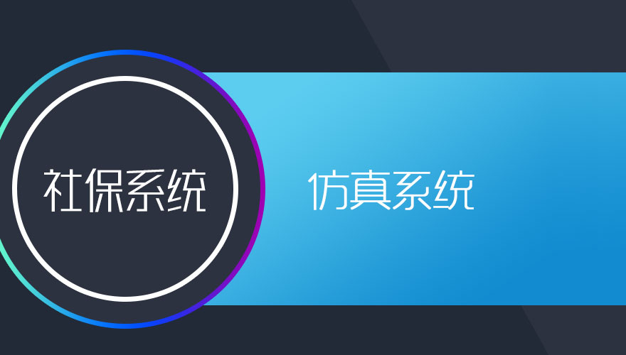 社保系统—仿真系统